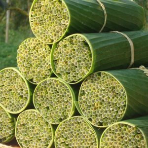 ống hút cỏ có bảo về môi trường không